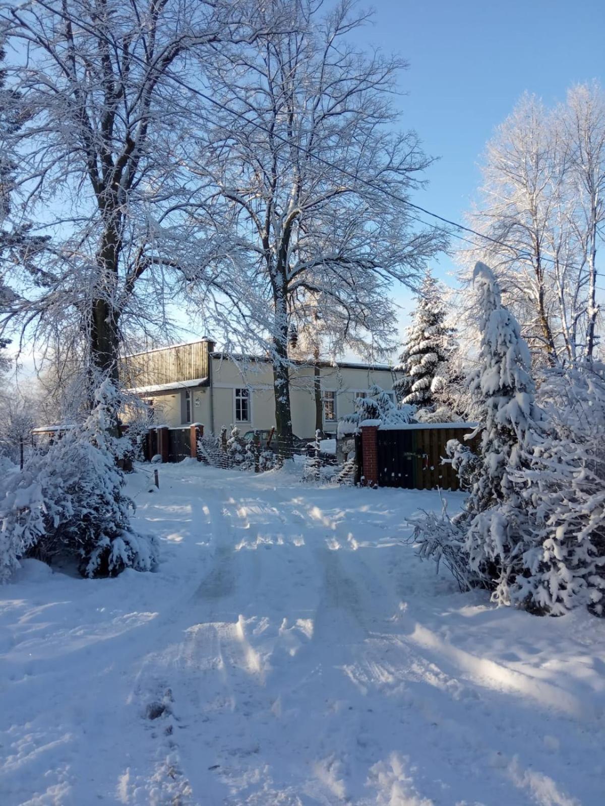 Bed & Breakfast - Warnileg Bed and Breakfast Eksteriør billede